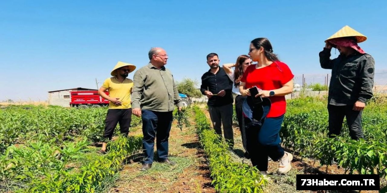 Silopi'de Tarımın Yükselişi Başladı