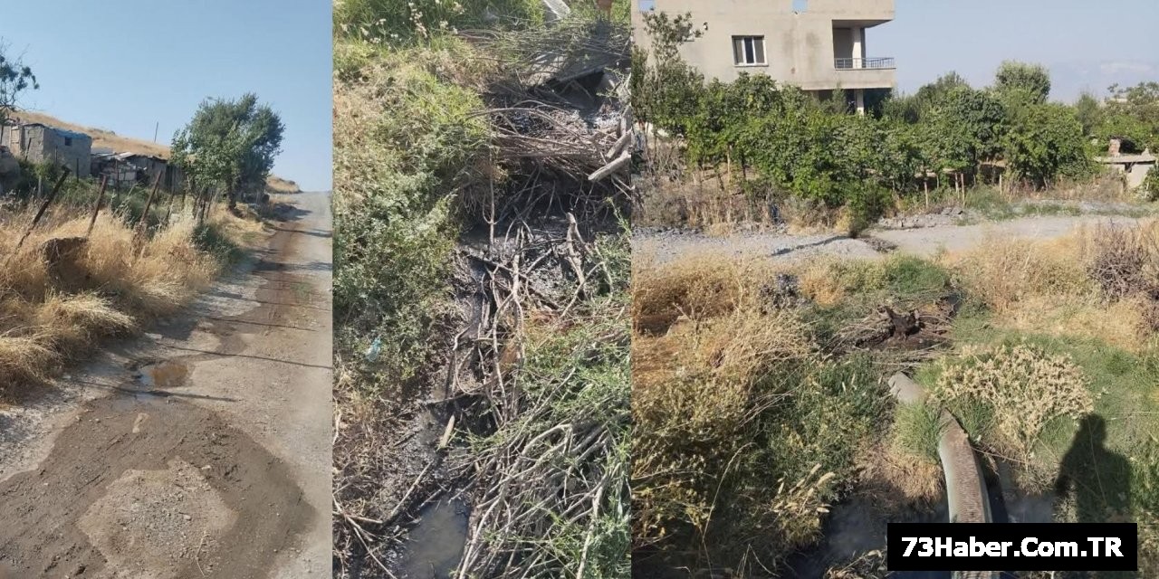 Şırnak'ta Kanalizasyon Çığlığı