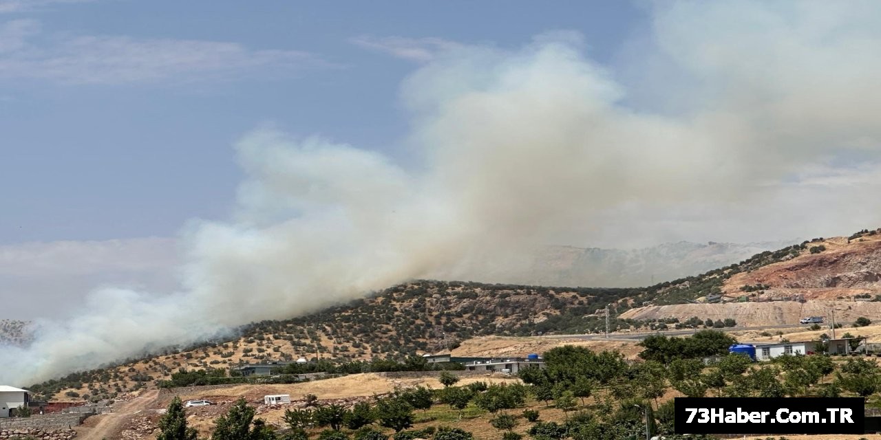 Şırnak'ta Alevler Köye Yaklaştı!