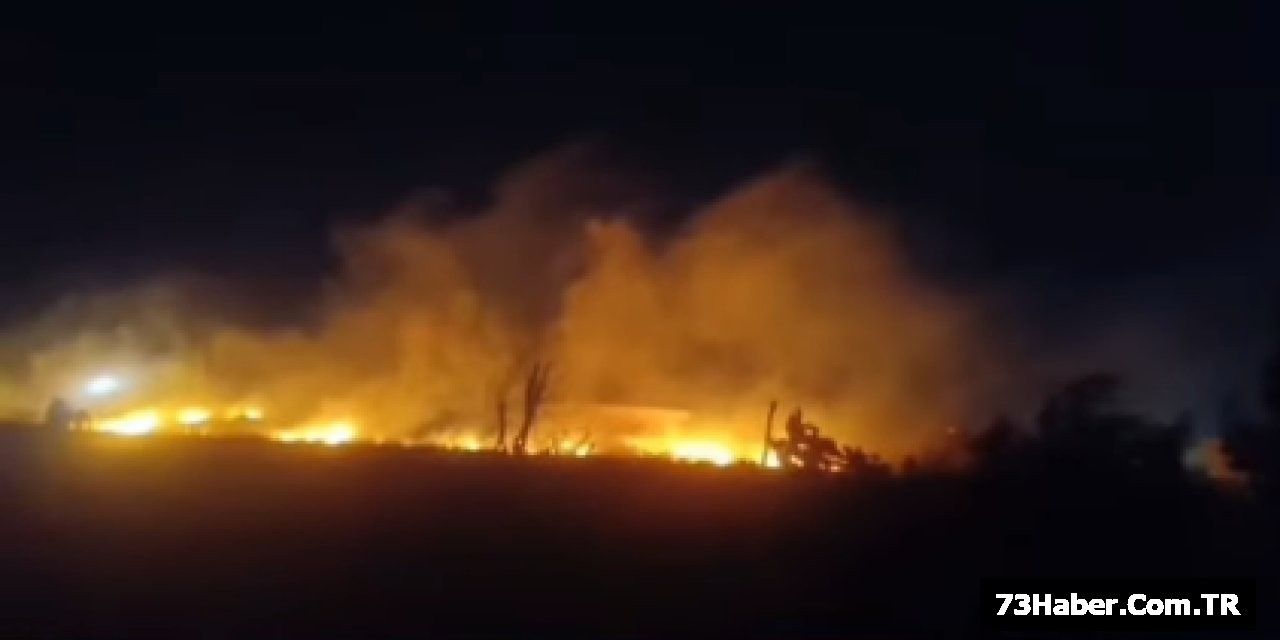 Cizre'de Anız Yangını