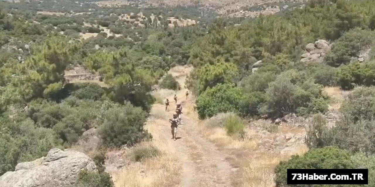 Şırnak'da Büyük Operasyon: 33 Gözaltı