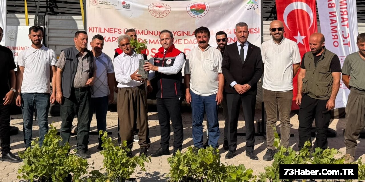 Şırnak'ta Üzüme Destek