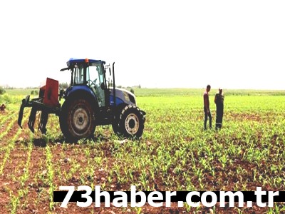 Şırnaklı Çiftçiler Dikkat! Sosyal Haklarınız Tehlikede mi?