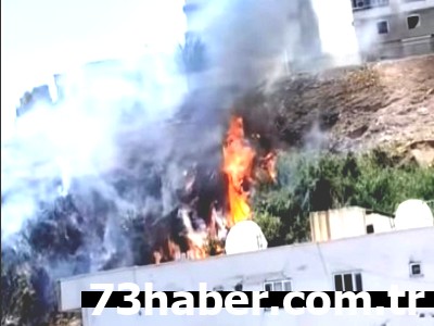 Cizre Alevlere Teslim: Yangın Kabusu!