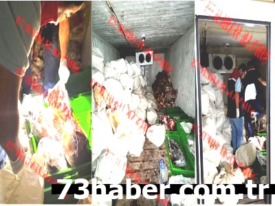 Şırnak'ta Et Operasyonu: Soğuk Depodan 3 Ton Kaçak Çıktı!
